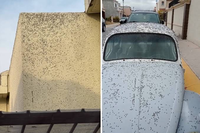 c3f22f2c-cbff-4b3a-9bc8-59c217e77080