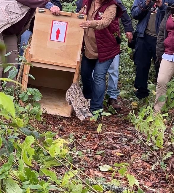 ffdee89f-0510-4d69-8cb0-315004f72fa6