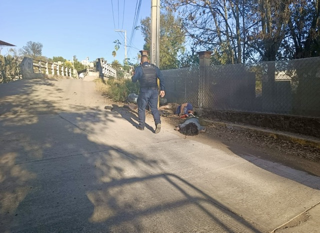 6c6e4f00-7560-4c54-9d0c-3f5a65386e08