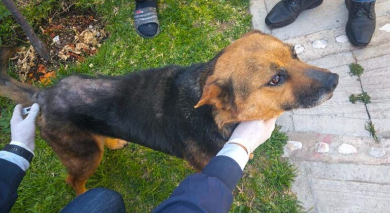 WhatsApp Image 2026-01-09 at 8.57.01 AM