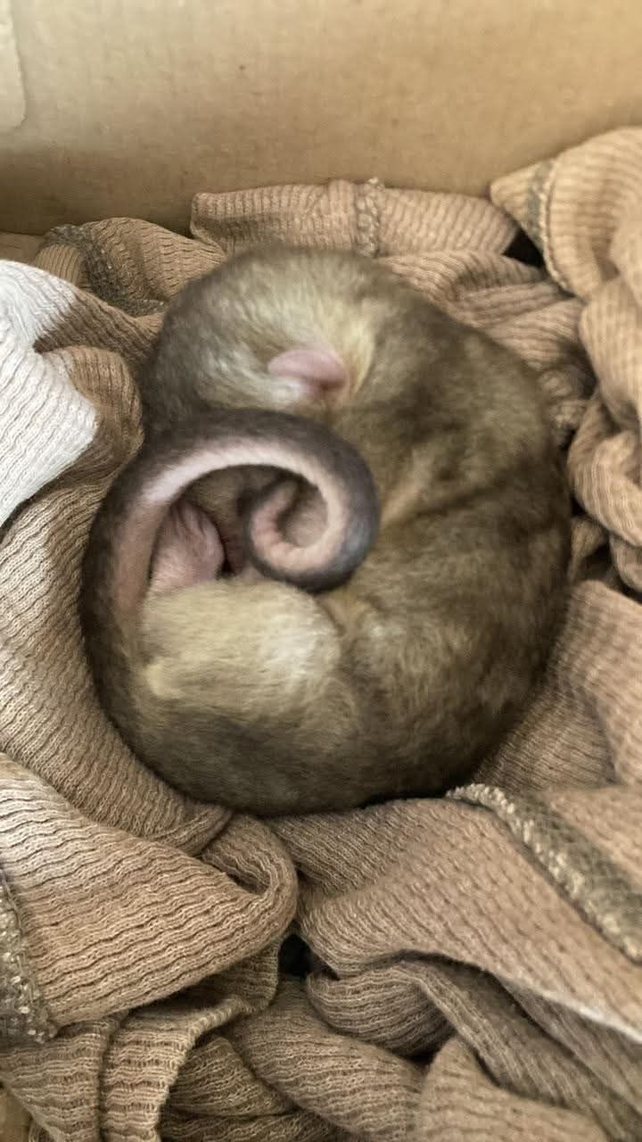 b5f62cb7-e6a2-40e0-bb93-96368c9c1e20