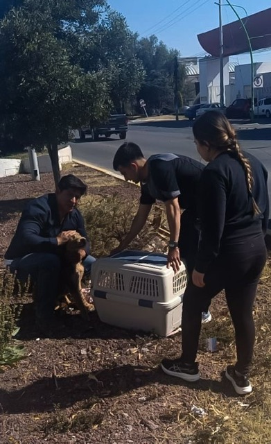 5fc84f5d-5a29-467e-91f1-ae06cd0a7c47