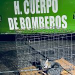 a4641065-5954-4afc-885d-1e6092aa0c59