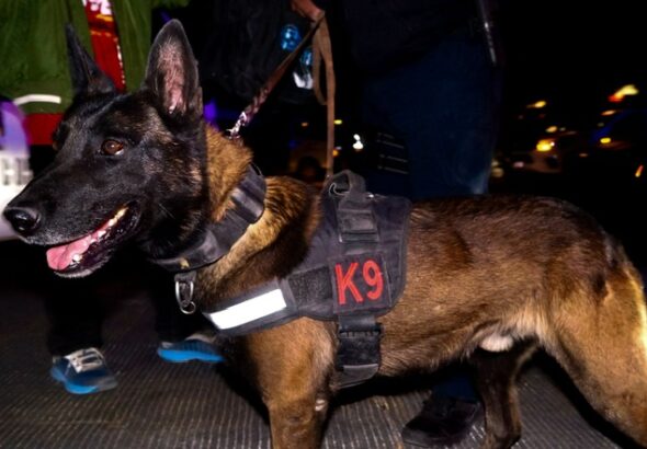 d5b8e91e-dde4-4fa4-9fce-00d4fbc61222