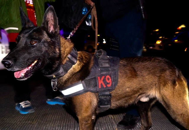 d5b8e91e-dde4-4fa4-9fce-00d4fbc61222