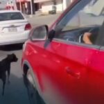 2b89bd09-9956-428b-bb1c-4417be401044