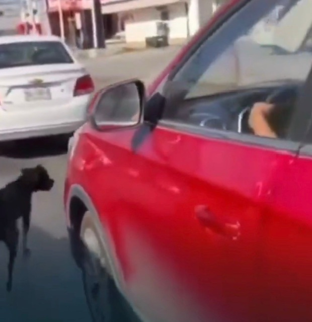 2b89bd09-9956-428b-bb1c-4417be401044