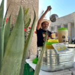 3d8fd3bb-6759-49be-a63d-2fbfe5dc6688