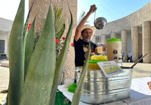 3d8fd3bb-6759-49be-a63d-2fbfe5dc6688