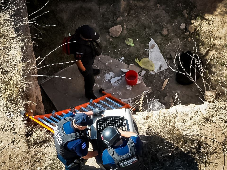 4f771bd0-c700-43fc-8417-75d9b022969b