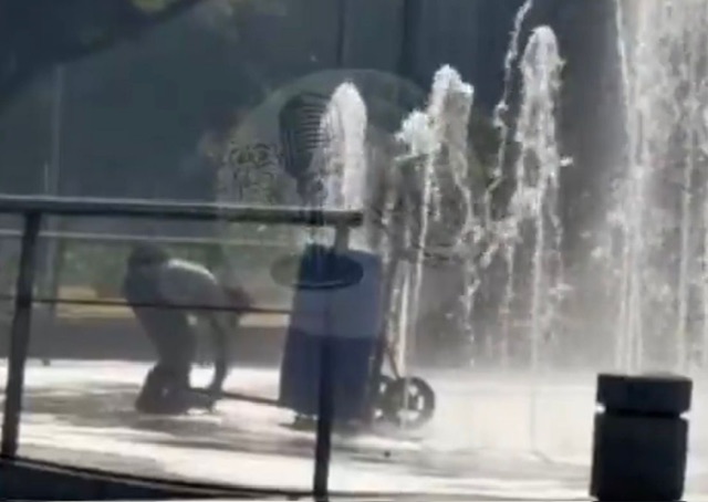 65029fca-b959-4284-8b98-0a5a45df7c5d