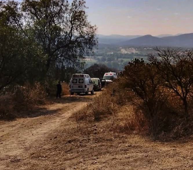 72d5912a-7264-4d50-aa2f-7b356d4a8231