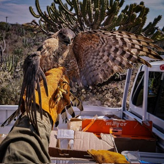 95c4070b-24c3-43bf-9954-c55d1b42ac01