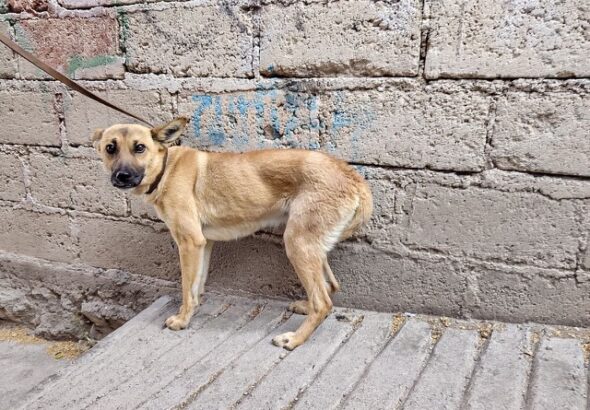 a8a1a271-fb2f-4c36-8c42-da99ed95f053