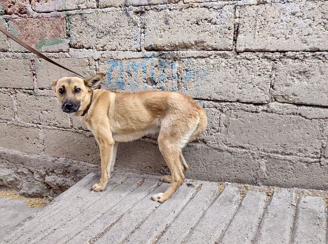 a8a1a271-fb2f-4c36-8c42-da99ed95f053