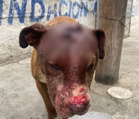 b29bee1a-bda6-425d-b35a-1040b627509a