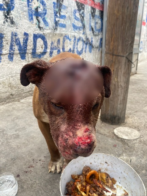 b29bee1a-bda6-425d-b35a-1040b627509a