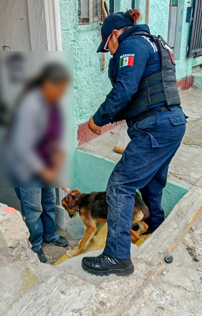 be09a7b5-4925-416e-9d45-06919414e9e4