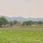 c41f5cb6-0b39-4691-b3f4-03c327be05b6