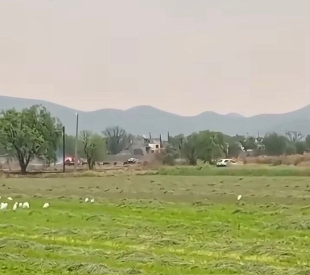 c41f5cb6-0b39-4691-b3f4-03c327be05b6