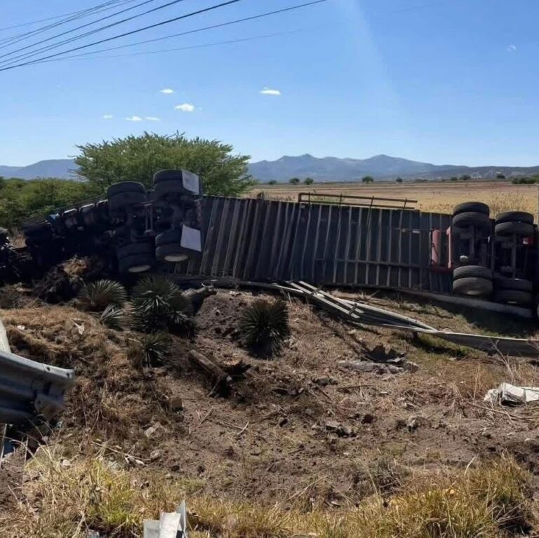 ca193336-3aed-4de8-9c1a-a3154a10d5ea