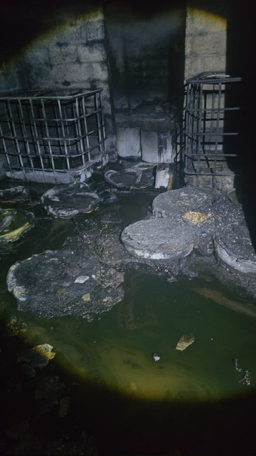 d17dae13-a89d-46b1-8525-b17265e41518