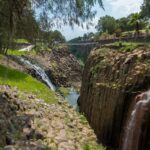 d8c5a06f-77f3-4976-a558-9919e0ec61a6