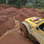 3eb5a8db-0307-49e8-8751-2ef05a5a0432