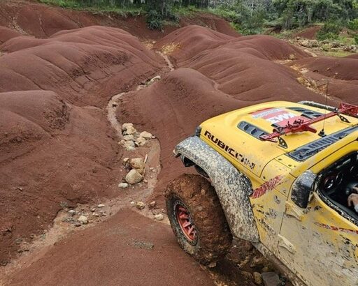 3eb5a8db-0307-49e8-8751-2ef05a5a0432