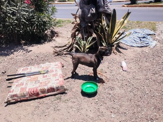 b71ea36e-5b4c-4b0c-91fe-5a210d9a5649