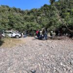 d025222a-eb4d-4227-8e1b-e4aff6f5a882