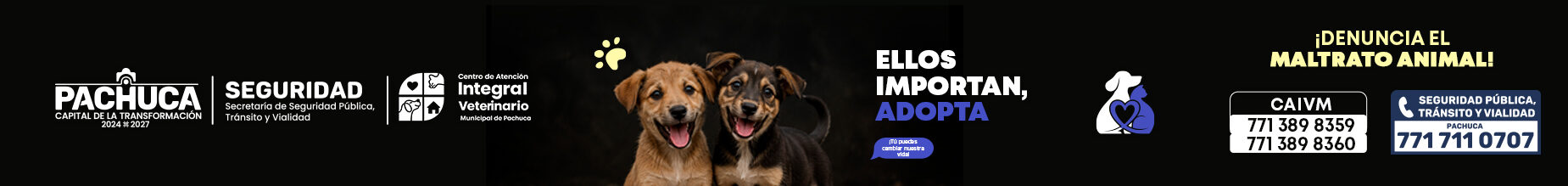 cropped-SSP-CAMP-ANIMALESCOMPANIA-ADOPTA-SUPERBANNER.jpeg